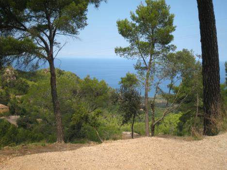 Mallorca 0066.jpg   31kb   26.03.2021 22:38:45